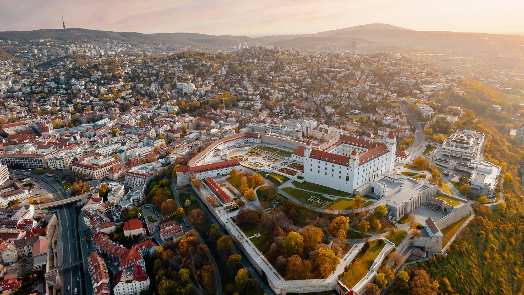 Photo by Martin Katler on Unsplash